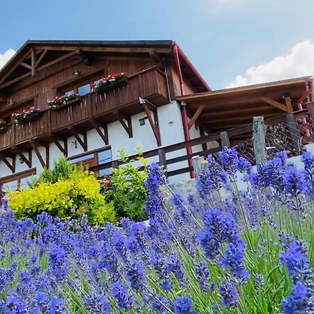 Gold Horse Vendeghaz Hotell Szilvásvárad Eksteriør bilde